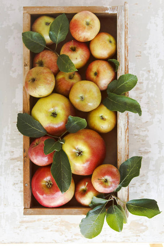 无人,竖图,俯视,苹果,水果,叶子,丰富,古典,饮食,盒子,摄影,清新,健康食物,立陶宛共和国,彩图,高角度拍摄