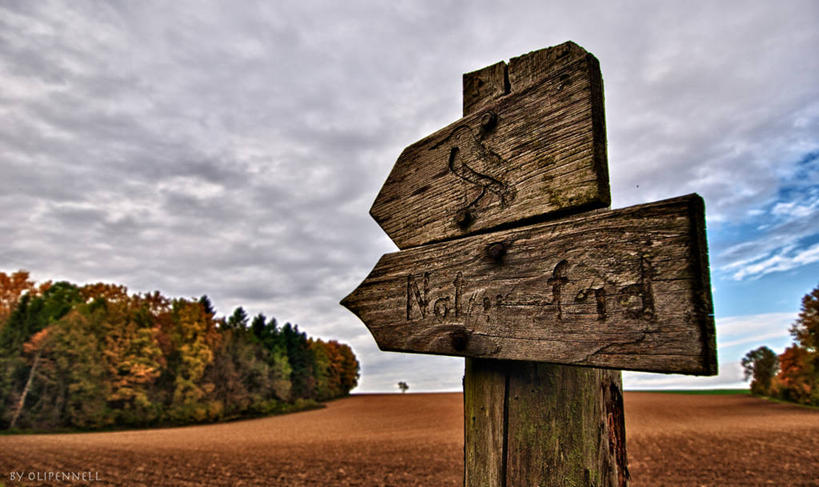 无人,横图,室外,白天,森林,指示牌,德国,木制,标志,文字,地形,方向,标识,箭头,天空,自然,摄影,指导,指向,簇,方向标,彩图