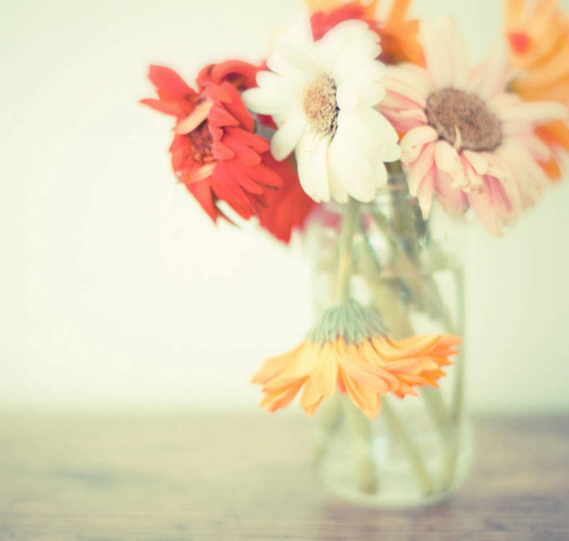 无人,横图,室内,特写,委内瑞拉,花,摄影,多样,脆弱,清新,广口瓶,彩图