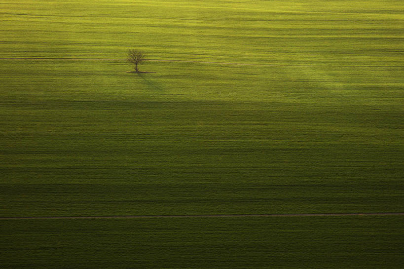 无人,横图,俯视,航拍,室外,白天,斯洛伐克,田地,草,自然,摄影,宁静,鸟瞰,彩图,高角度拍摄,独处