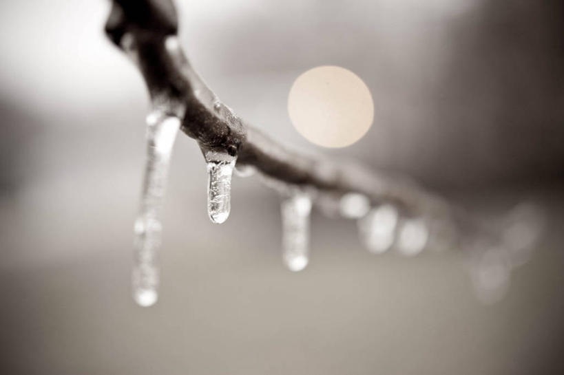 无人,横图,室外,特写,白天,美国,冰,冬天,枝,冰柱,寒冷,摄影,宁静,脆弱,维吉尼亚,彩图