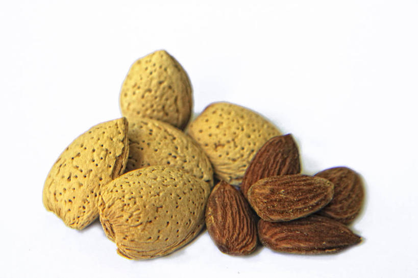 无人,横图,特写,白色背景,杏仁,巴西,坚果,饮食,摄影,清新,里约热内卢,健康食物,彩图,影棚拍摄,坚果壳