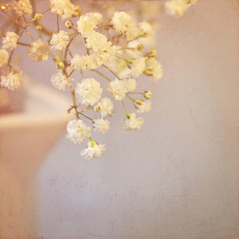 无人,方图,室内,特写,英国,水壶,花,白色,摄影,脆弱,清新,莱切斯特,彩图