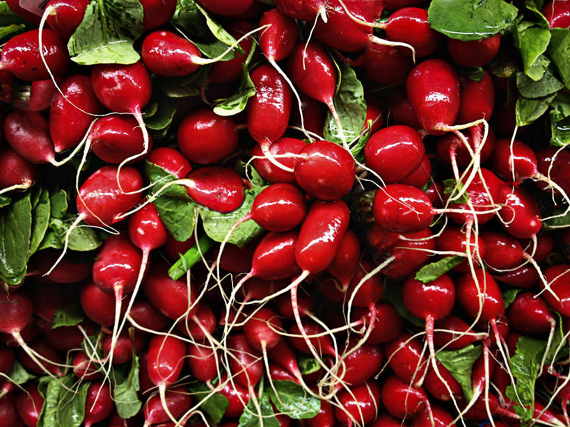 无人,横图,室外,白天,背景,购物,消费,萝卜,蔬菜,美国,丰富,集市,市场,饮食,红色,零售,金融,摄影,清新,加利福尼亚,选购,贸易,彩图,全画面,全框架,全帧,全画幅