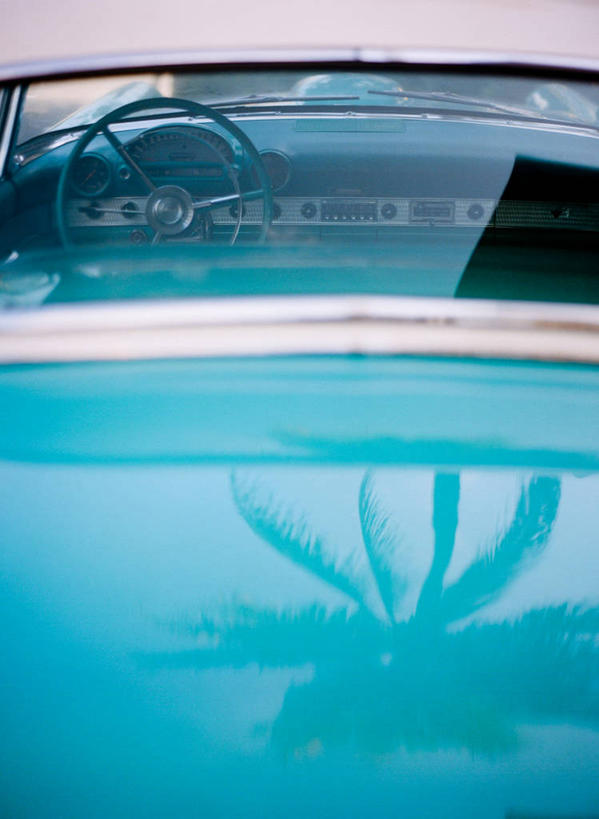 无人,竖图,室外,特写,白天,汽车,棕榈树,美国,透明,反射,方向盘,运输,摄影,部分,北美,北美洲,美洲,佛罗里达,佛罗里达州,佛州,阳光州,迈阿密海滩,北亚美利加洲,亚美利加洲,想法,彩图,美利坚合众国