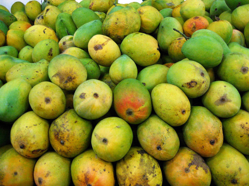 无人,横图,室外,特写,白天,芒果,水果,印度,许多,丰富,很多,饮食,零售,摄影,清新,泰米尔纳德邦,金奈,彩图