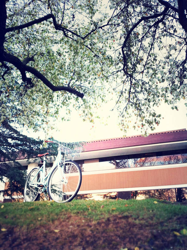 无人,竖图,室外,建筑,自行车,美国,草,树,办公大楼,摄影,停止,加利福尼亚,暂停,停滞,奥克兰,彩图