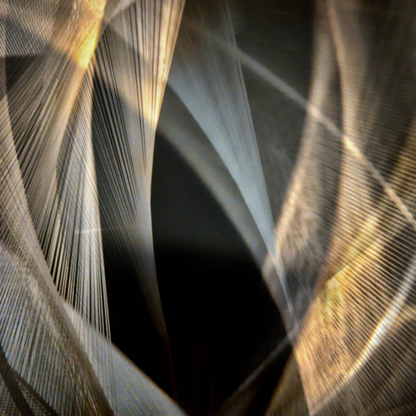 无人,方图,特写,抽象,德国,黑色背景,弯曲,摄影,彩图,影棚拍摄