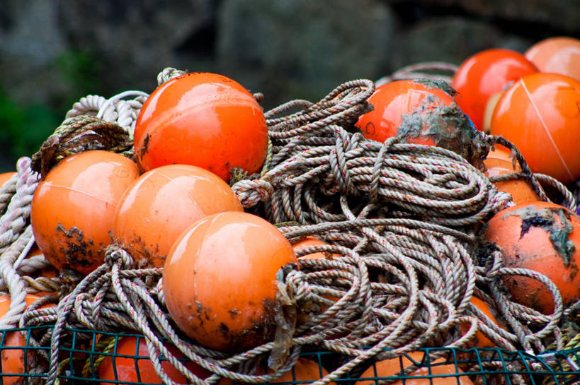 无人,横图,室外,特写,白天,渔业,美国,环绕,缠绕,笼子,绳子,橙色,摄影,浮标,纠缠,鱼漂,缅因州,彩图,龙虾笼