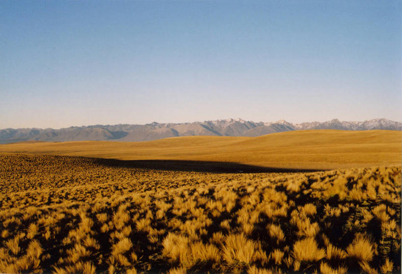 无人,横图,室外,白天,草原,美景,山,山脉,新西兰,草丛,景观,田地,风景,自然,景色,摄影,生长,宁静,自然风光,万里无云,南阿尔卑斯山脉,彩图