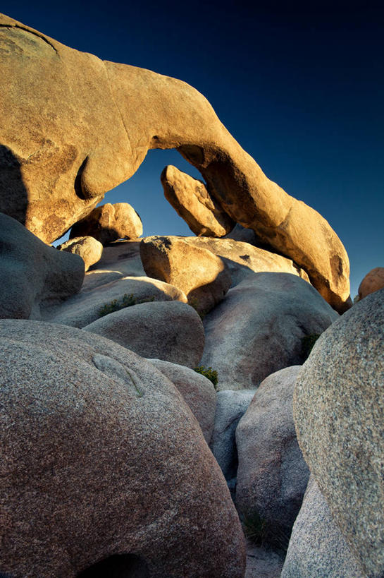 无人,公园,竖图,室外,白天,仰视,日光,美国,自然,摄影,宁静,北美,北美洲,国家公园,岩层,加利福尼亚,美洲,加州,加利福尼亚州,万里无云,金州,黄金州,北亚美利加洲,亚美利加洲,约书亚树国家公园,自然地理,岩石,彩图,低角度拍摄,美利坚合众国