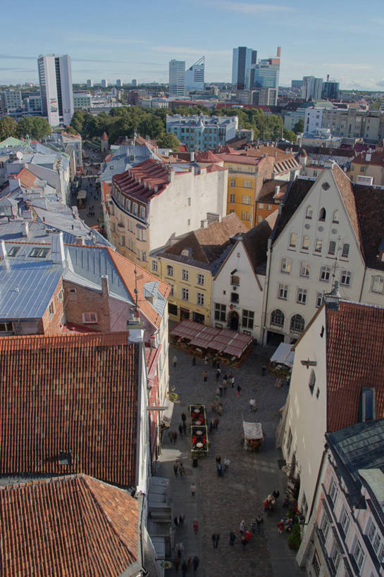 竖图,俯视,室外,白天,建筑,街道,爱沙尼亚,屋顶,云,古城,首都,天空,摄影,塔林,彩图,高角度拍摄