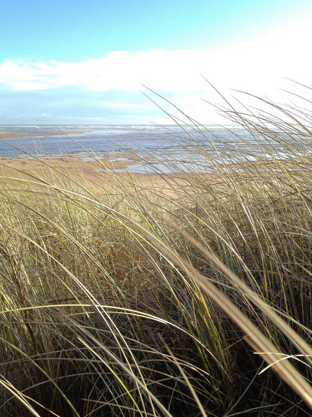 无人,竖图,室外,特写,白天,海洋,美景,风,英国,景观,水平线,云,苏格兰,风景,天空,自然,景色,摄影,生长,自然风光,滨草,海滩,彩图