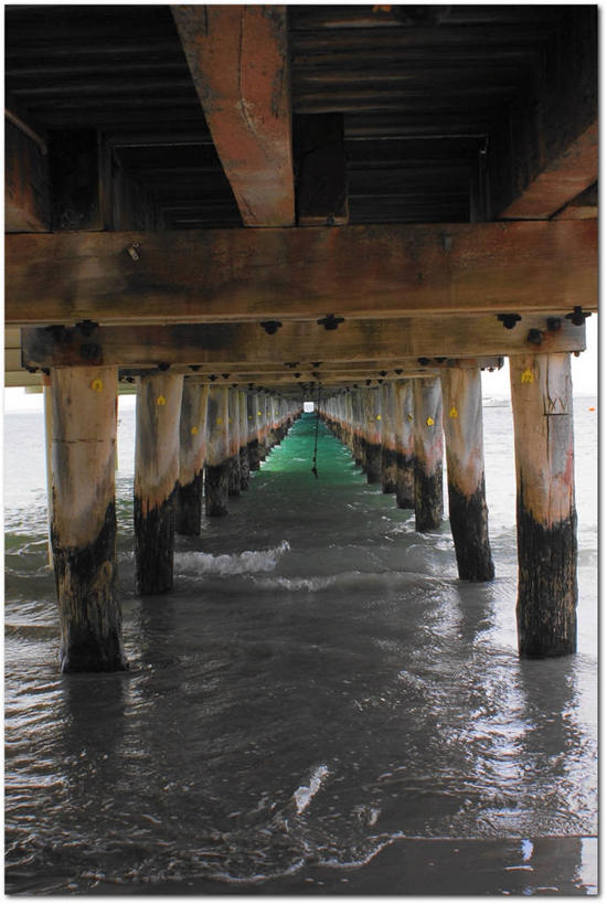 无人,码头,竖图,室外,白天,重复,澳大利亚,一排,整齐,木制,排列,摄影,支撑,队列,弗林德斯岛,彩图