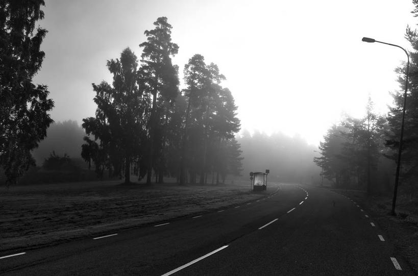 无人,横图,室外,雾,路,瑞典,分界线,黎明,天气,树,运输,摄影,宁静,早晨,彩图,公共汽车站