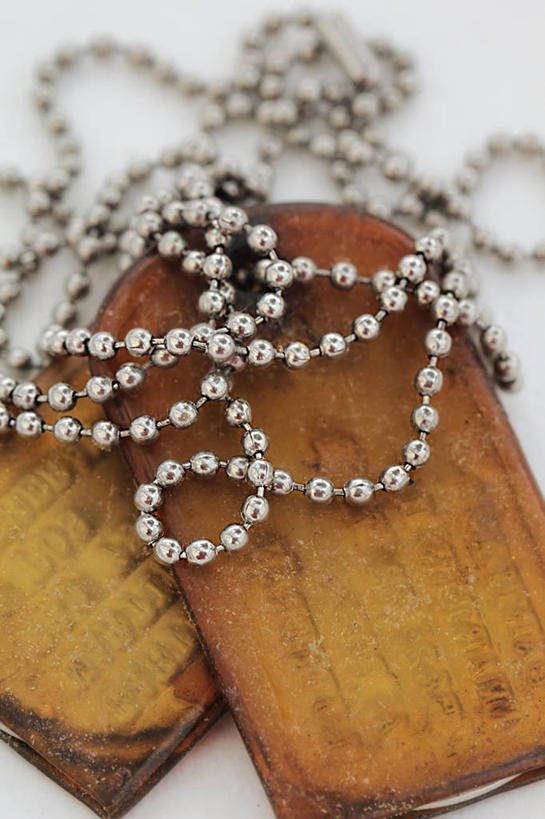 无人,竖图,特写,美国,珠子,两个,摄影,加利福尼亚,身份,狗牌,彩图