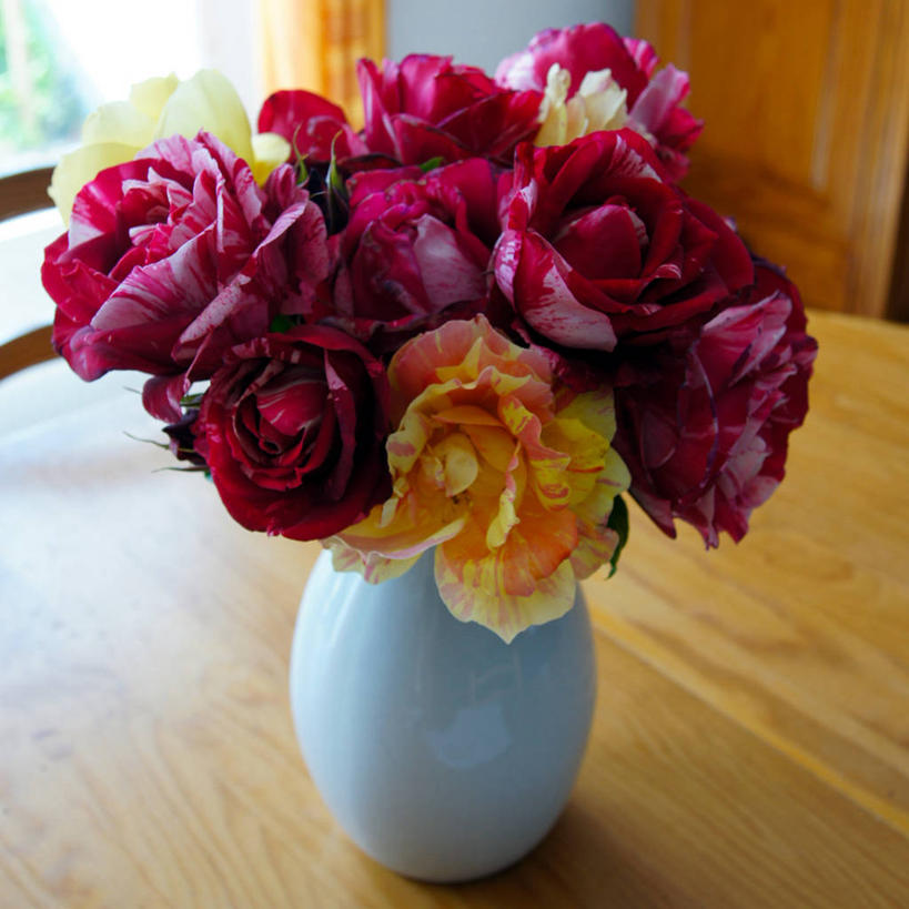 无人,方图,室内,白天,桌子,花瓶,法国,木制,花,粉色,黄色,红色,摄影,脆弱,清新,彩图