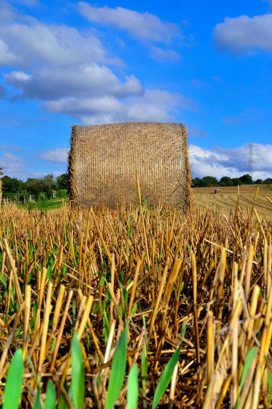 无人,竖图,室外,白天,农业,德国,地形,田地,云,稻草,干草,天空,自然,草垛,卷起,摄影,收获,宁静,干草垛,彩图