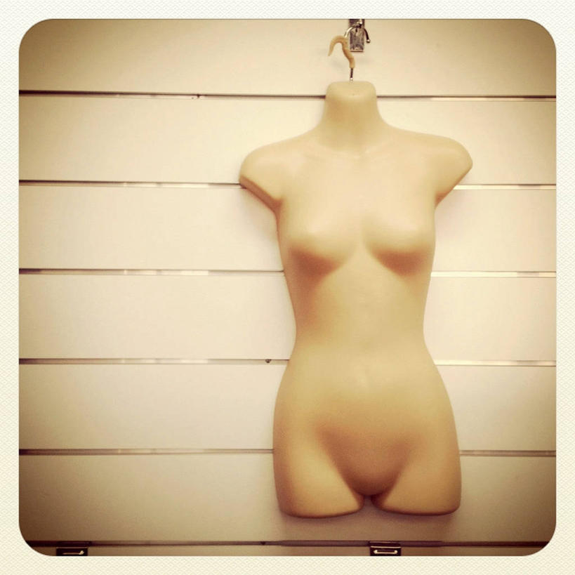 裸体,无人,方图,室内,澳大利亚,吊挂,悬挂,人造模特,墙,挂,躯干,摄影,塔斯马尼亚,霍巴特,彩图