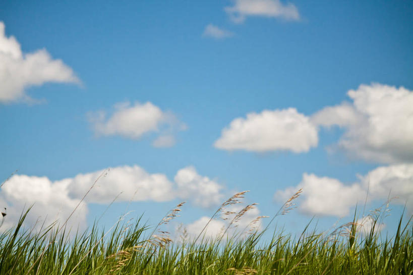 无人,横图,室外,白天,风,加拿大,云,草,蓝色,天空,自然,摄影,生长,宁静,积雨云,彩图