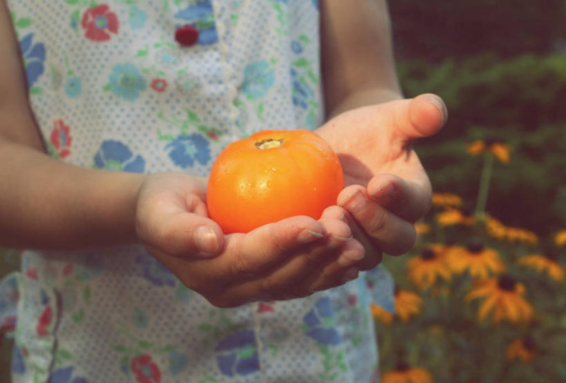 儿童,一个人,握手,横图,室外,特写,白天,纯洁,蔬菜,西红柿,小番茄,美国,仅一个女性,仅一个人,花纹,古典,拿着,小孩,仅一个小孩,可爱,探索,童年,童趣,摄影,部分,清新,童真,烂漫,无邪,健康食物,布卢明顿,小西红柿,樱桃小番茄,珍珠小番茄,天真,女孩,女人,女性,孩子,樱桃番茄,圣女果,番茄,搀手,拉手,手拉手,手握手,彩图,黄色小番茄,女生