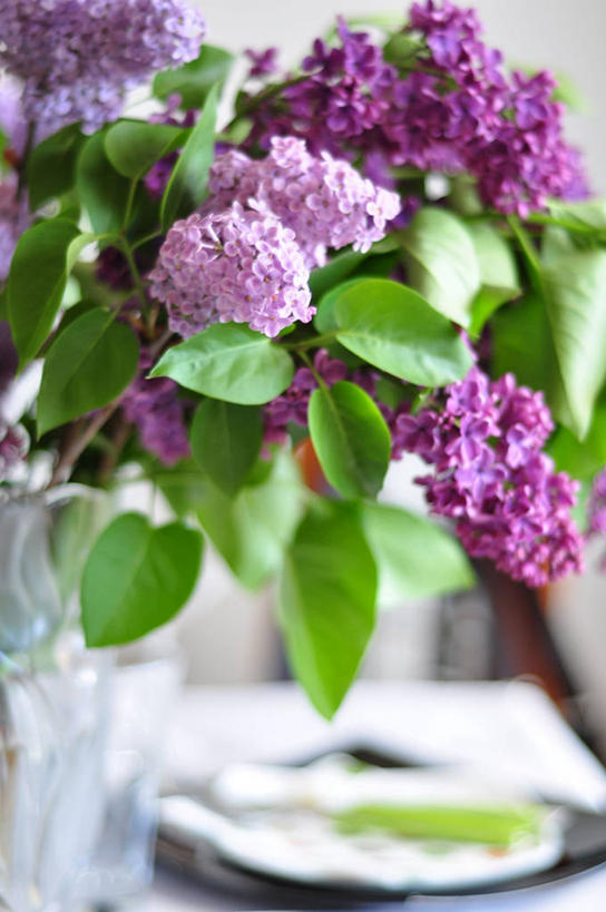 无人,竖图,室内,特写,白天,桌子,丁香花,花瓶,叶子,保加利亚,许多,饭厅,首都,很多,花,粉色,盘子,花束,春天,摄影,脆弱,清新,索非亚,彩图