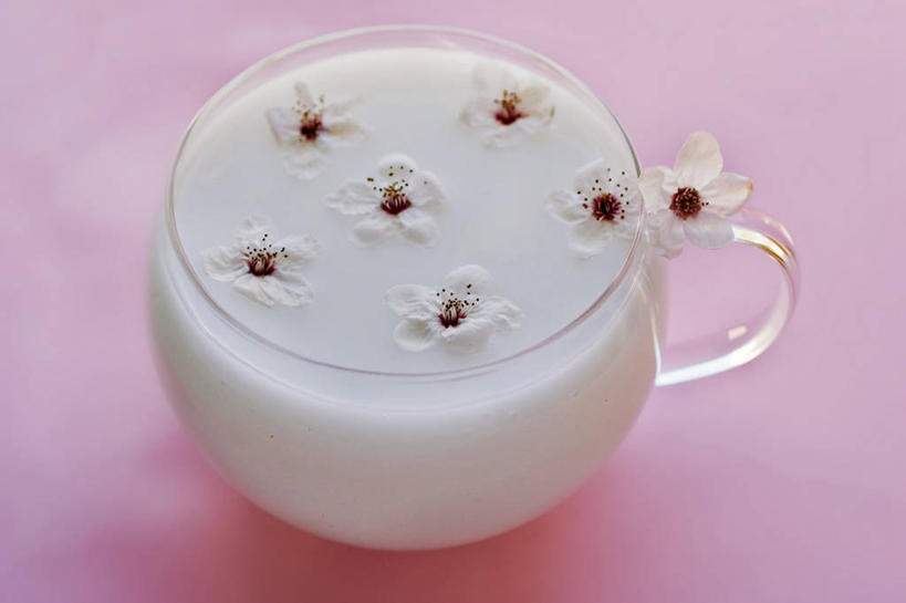 牛奶,无人,横图,特写,植物,意大利,粉色背景,果树,杯,饮食,花,树,树木,饮料,绿色,白色,自然,摄影,生长,成长,杏树,玻璃杯,彩图,影棚拍摄