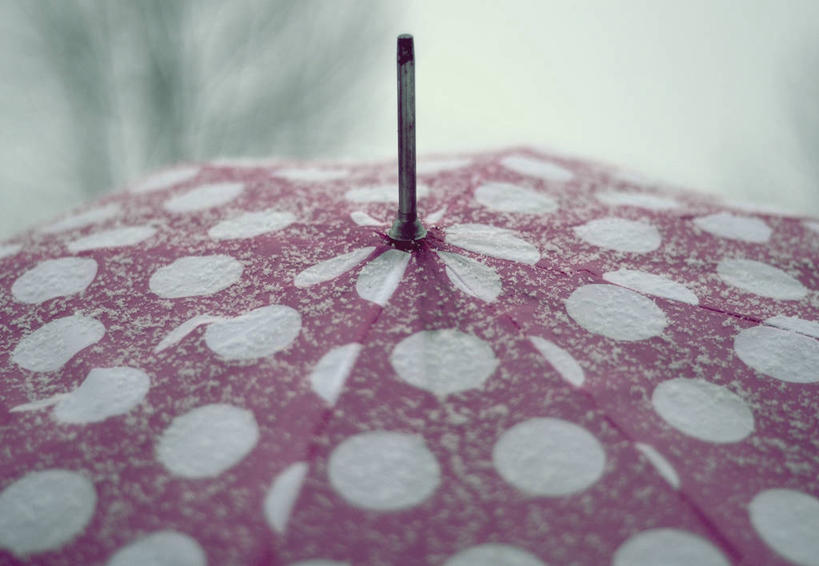 无人,横图,室外,特写,白天,雪,意大利,伞,斑点,红色,寒冷,摄影,保护,部分,彩图