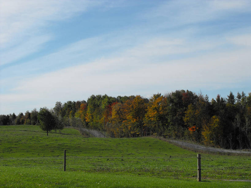 无人,横图,室外,白天,加拿大,地形,云,树,天空,自然,摄影,宁静,改变,魁北克,秋天,彩图