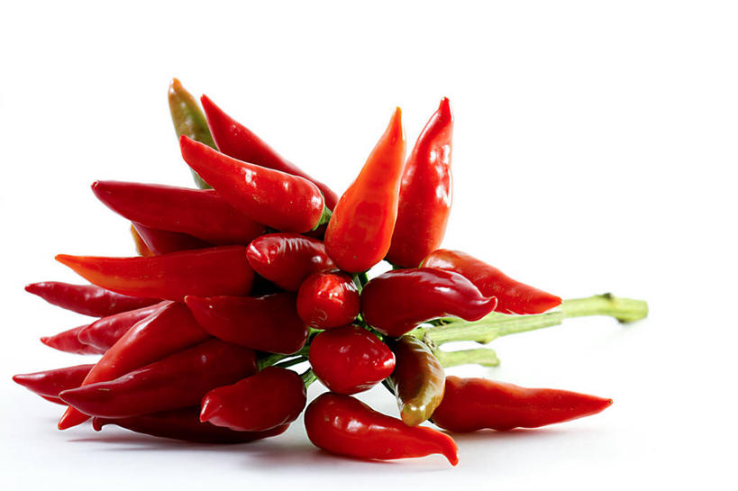 无人,横图,特写,白色背景,辣椒,意大利,丰富,首都,串,红色,摄影,红辣椒,彩图,影棚拍摄