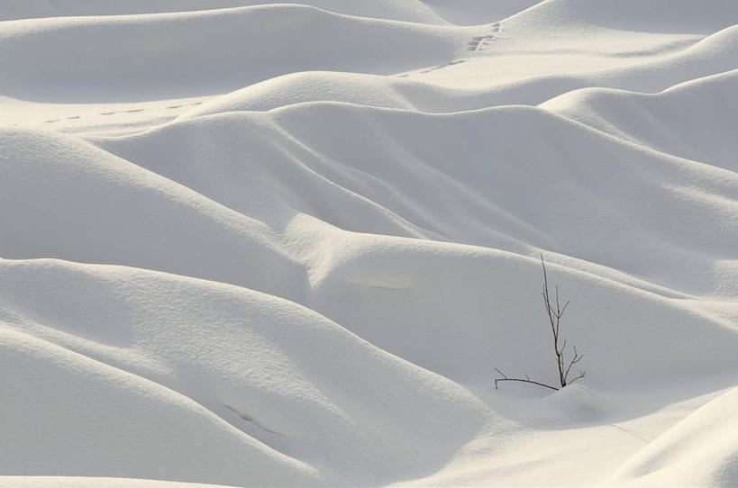 无人,横图,室外,白天,旅游,度假,美景,雪,加拿大,地形,景观,云,冬天,娱乐,草,白色,自然,享受,休闲,景色,放松,寒冷,摄影,宁静,自然风光,荒地,彩图