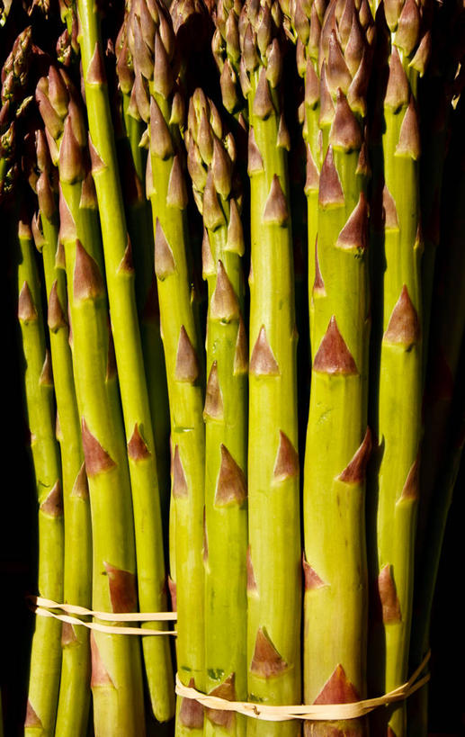 无人,竖图,室外,特写,白天,芦笋,纽约,美国,丰富,食品,串,绿色,摄影,清新,纽约州,彩图