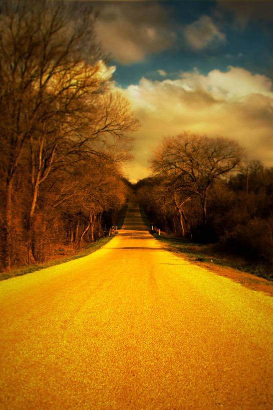 无人,竖图,室外,白天,美景,美国,景观,云,树,天空,自然,景色,摄影,自然风光,德克萨斯,彩图,单行道