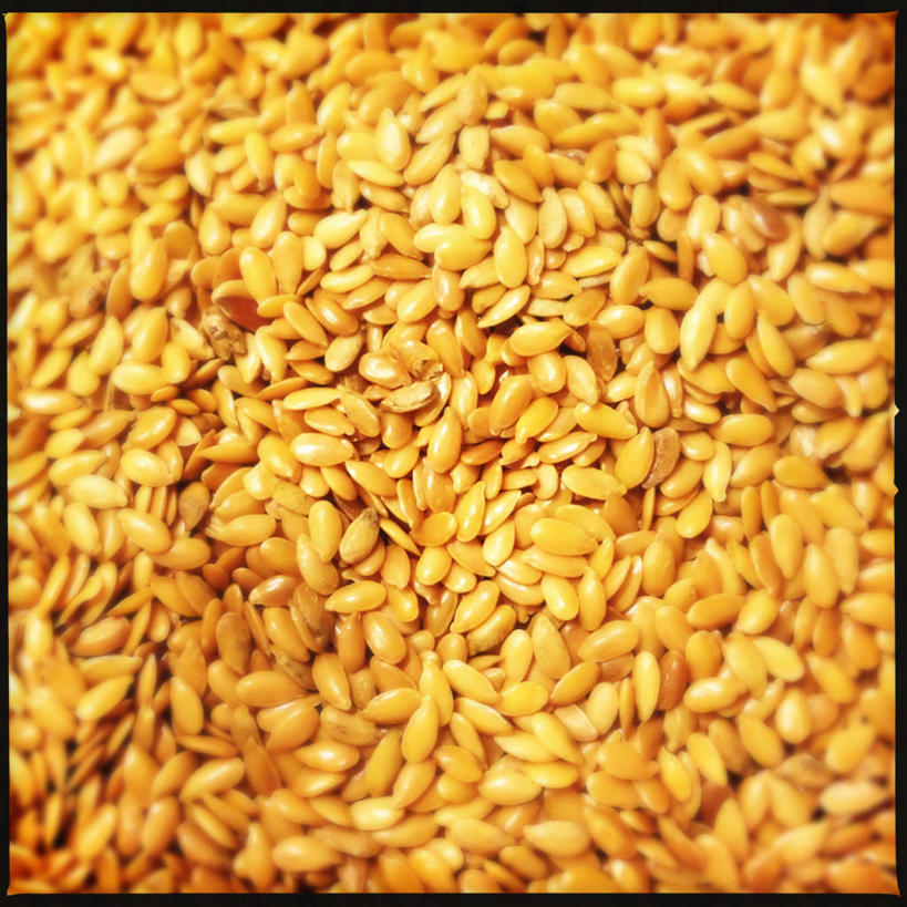 无人,方图,特写,植物,葡萄牙,许多,丰富,亚麻,首都,很多,饮食,里斯本,摄影,胡麻,纤维作物,油料作物,彩图