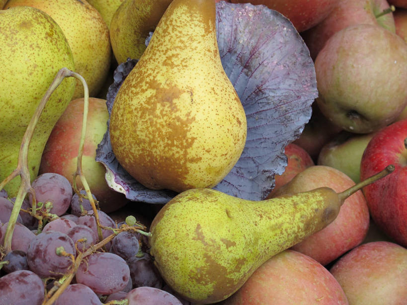 无人,横图,室外,特写,白天,背景,苹果,梨,葡萄,水果,意大利,饮食,摄影,有机食品,多样,清新,健康食物,彩图,全画面,全框架,全帧,库内奥省,全画幅