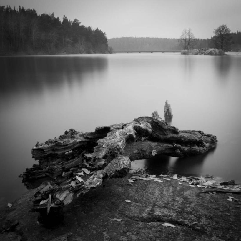 无人,方图,黑白,室外,白天,长时间曝光,湖,瑞典,首都,树,天空,自然,摄影,宁静,伐木,岩石