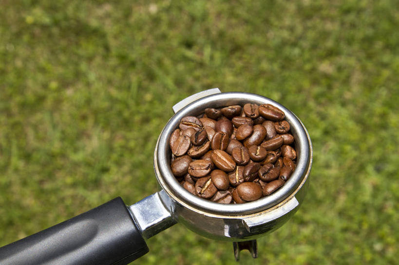 无人,横图,俯视,室外,特写,白天,澳大利亚,许多,丰富,褐色,首都,很多,饮食,草,摄影,大洋洲,澳洲,健康食物,堪培拉,南方大陆,澳大利亚联邦,澳大利亚首都领地,澳大利亚首都特区,彩图,高角度拍摄