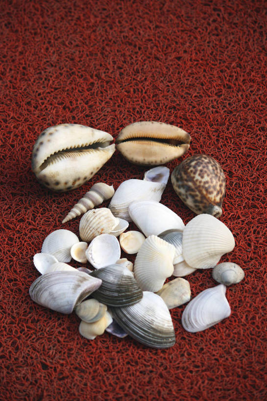 无人,竖图,印度,许多,席子,很多,红色,摄影,多样,选择,收集,泰米尔纳德邦,金奈,彩图,影棚拍摄