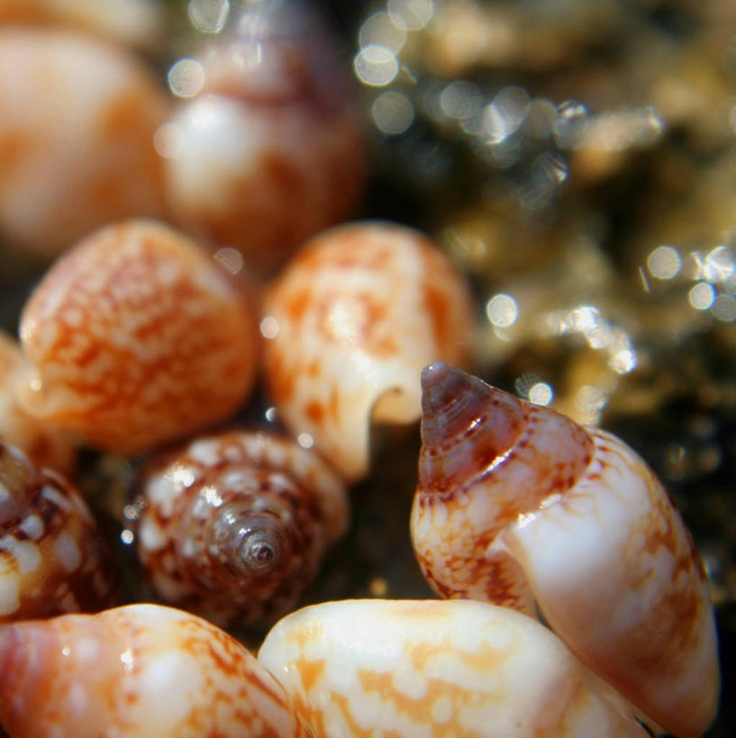 无人,竖图,室外,特写,白天,塞浦路斯,摄影,收集,彩图