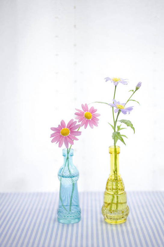 无人,竖图,白色背景,桌子,静物,花瓶,日本,花,花瓣,粉色,紫色,摄影,脆弱,清新,彩图,影棚拍摄