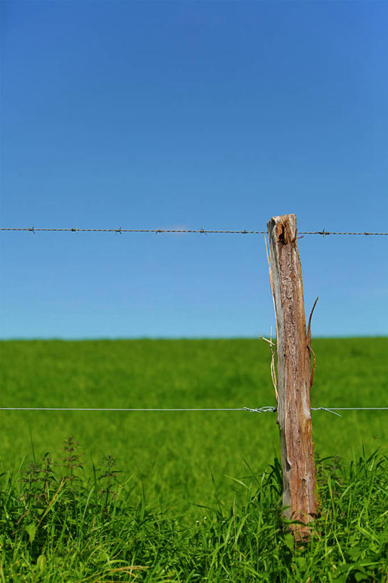 无人,竖图,室外,白天,比利时,木制,篱笆,田地,草,自然,摄影,保护,宁静,万里无云,彩图,带刺铁丝网