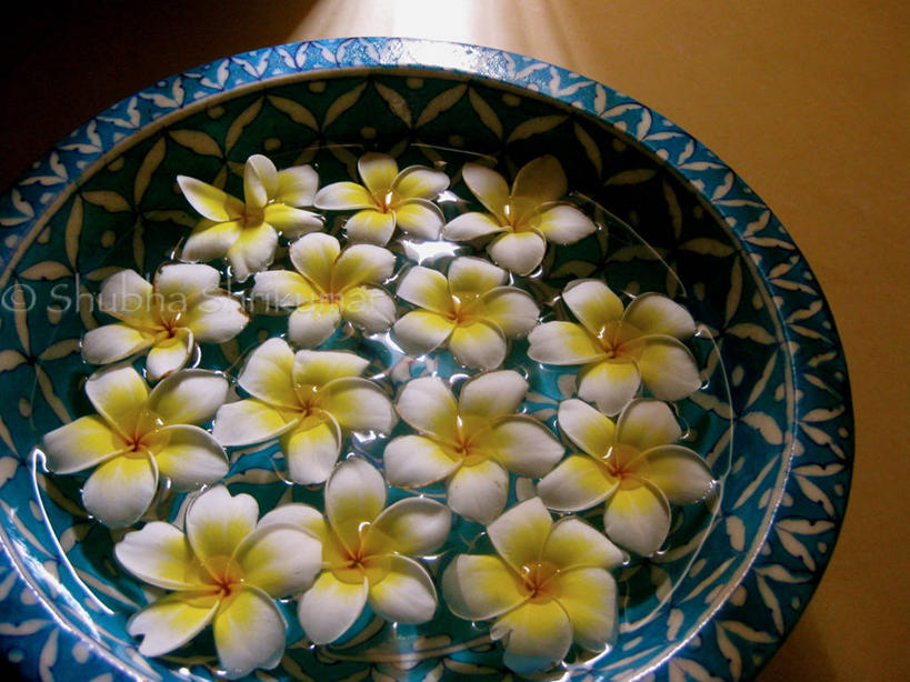 无人,横图,俯视,室内,白天,水,日光,印度,漂浮,赤素馨花,花,花瓣,花朵,碗,摄影,热带气候,脆弱,清新,彩图,高角度拍摄