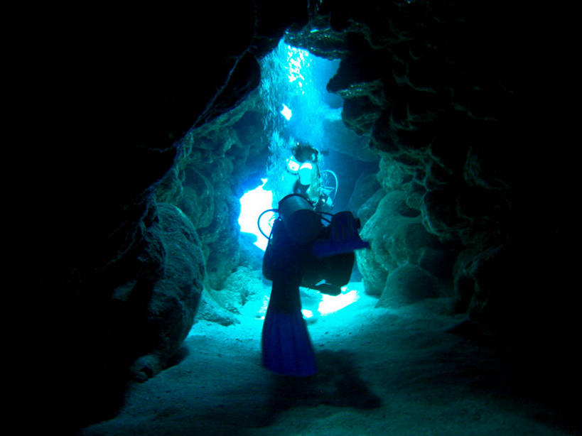 无人,横图,室外,白天,探险,水下,海洋,洪都拉斯,探索,潜水服,摄影,水中呼吸器,冒险,暗礁,彩图,水肺潜水