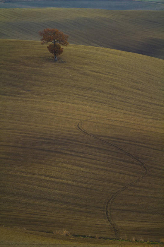 无人,竖图,室外,白天,山,意大利,弯曲,地形,草,风景,自然,摄影,宁静,托斯卡纳区,皮恩札,彩图,独处