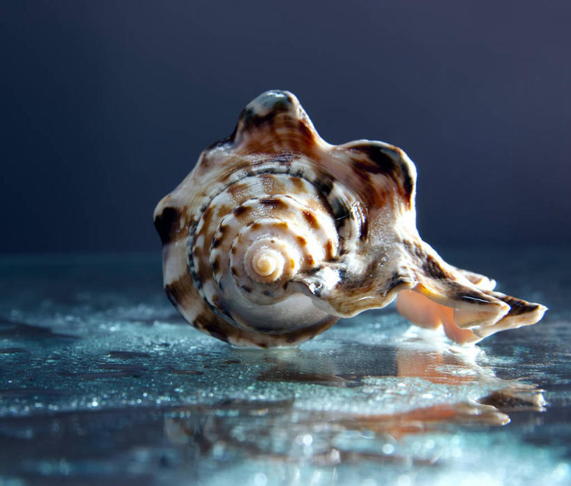 无人,横图,特写,英国,湿,反射,一个,蓝色,摄影,单个,宁静,格洛斯特郡,彩图