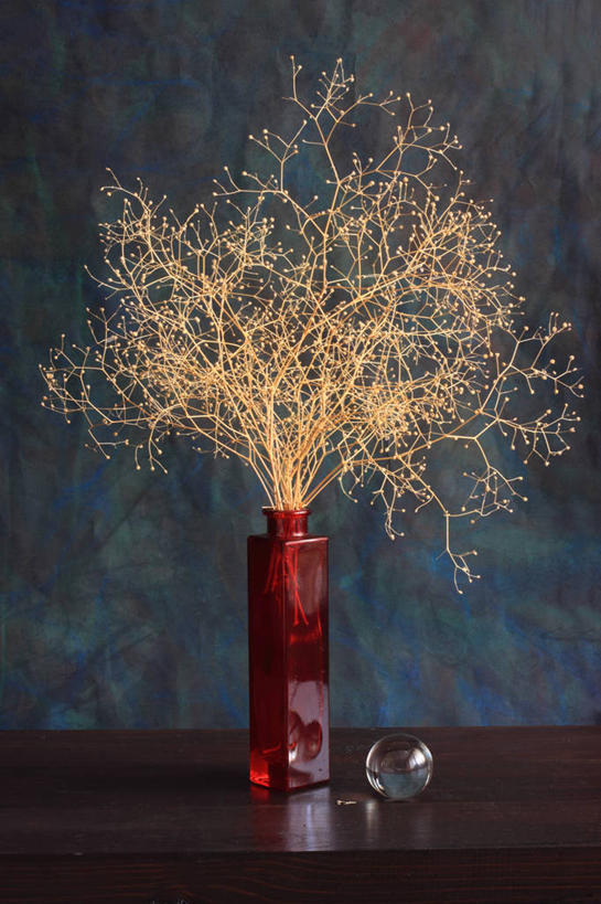 无人,竖图,室内,桌子,花瓶,乌克兰,木制,红色,瓶子,摄影,脆弱,简单,干的,彩图