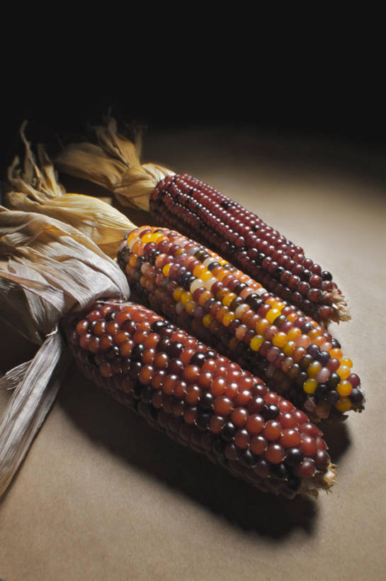 无人,竖图,室内,特写,玉米,蔬菜,纽约,美国,并排,饮食,三个,摄影,外壳,清新,健康食物,纽约州,彩图