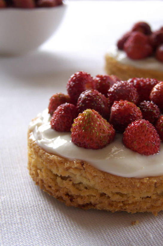 点心,蜂蜜,无人,竖图,室内,特写,草莓,水果,意大利,食品,甜点,甜品,食物,糕点,甜食,诱惑,摄影,彩图,奶油干酪