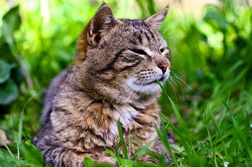 无人,横图,室外,白天,海洋,野生动物,墨西哥,一群,许多,反射,鸟类,云,很多,木桩,摄影,拉丁美洲,肯他纳罗,彩图