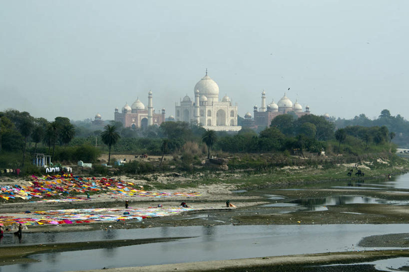 横图,室外,白天,河流,建筑,泰姬陵,印度,亚洲,反射,树,洗衣服,天空,自然,地标建筑,摄影,宁静,南亚,阿格拉,印度共和国,亚穆纳河,洗涤,彩图